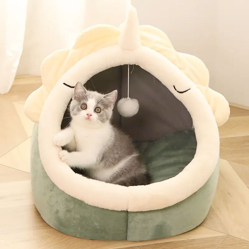 Adorable Dinosaur Pet House with Toy - Chanel - byDesign Exclusive Finds