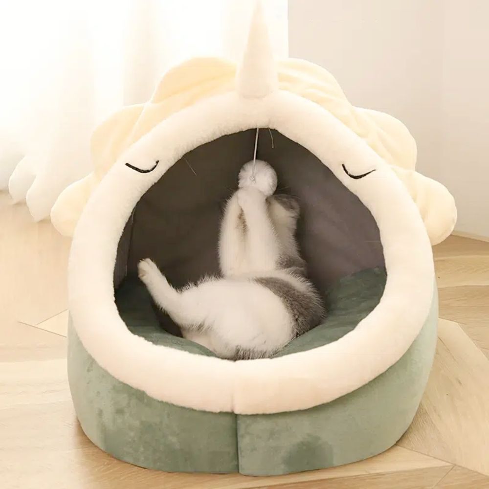 Adorable Dinosaur Pet House with Toy - Chanel - byDesign Exclusive Finds